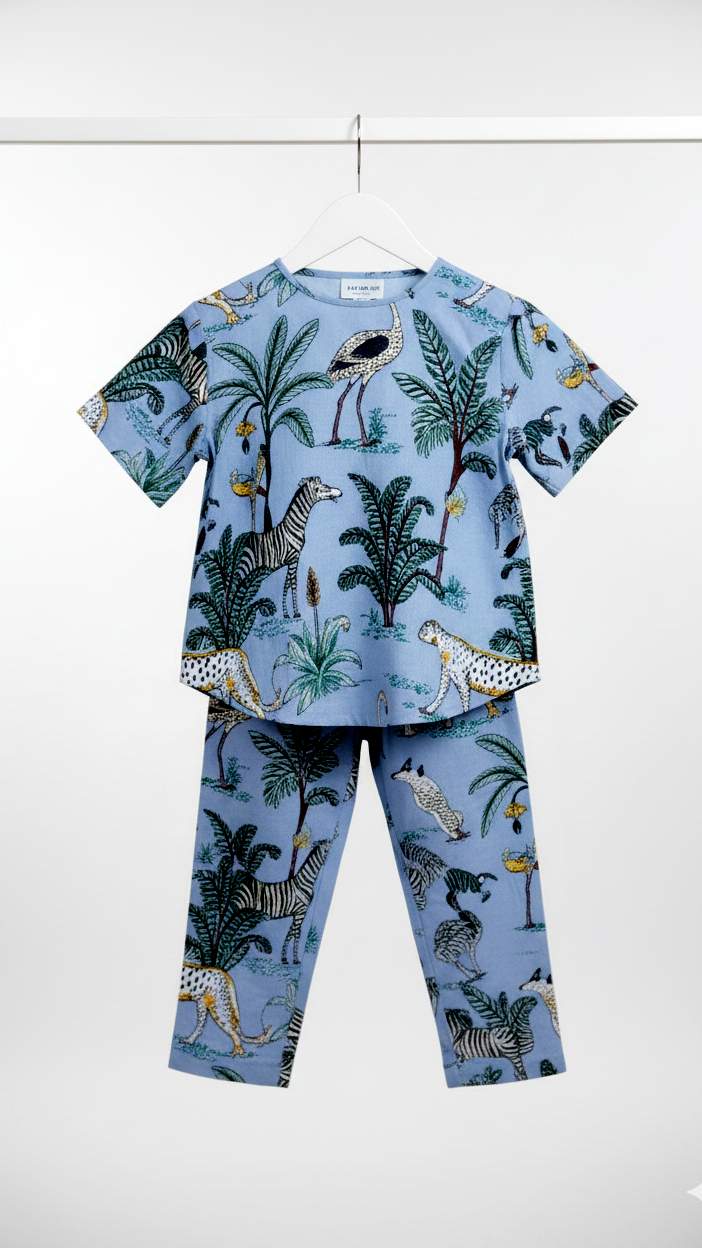Girls Coord Set – Sky Blue Chikankari Breeze